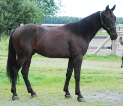 Uncertain When 150806-5